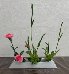 Ikebana_011272023