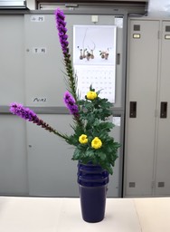 Ikebana_03062024