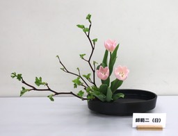Ikebana_03172024