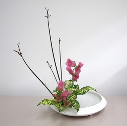 Ikebana_05222024