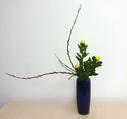 Ikebana_10020224