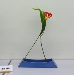Ikebana_10212024