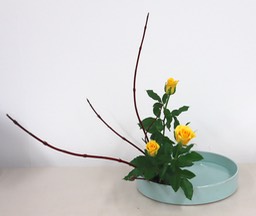 Ikebana_11132024