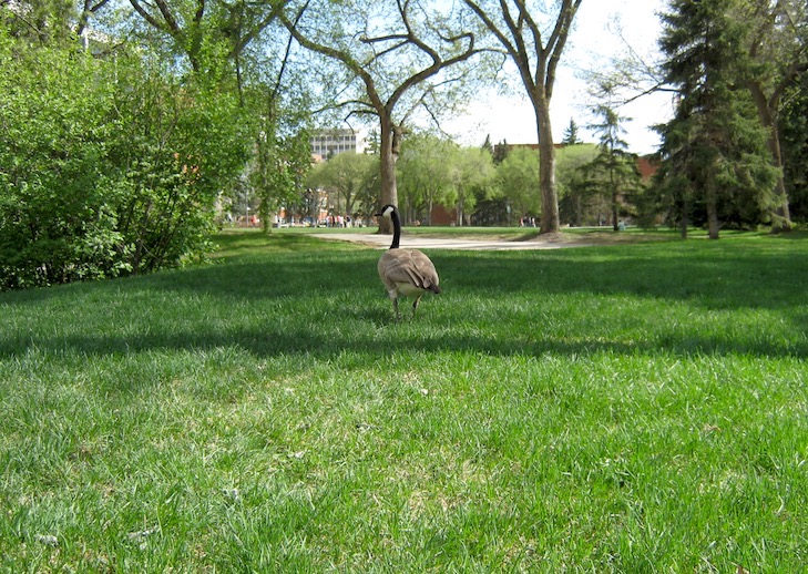 IMG_8485.JPG